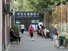 -中国农业大学动物医院