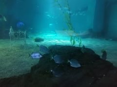 -常州海昌海洋探索馆