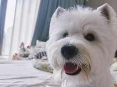 -comecome来吧宠物(奥克斯中心店)