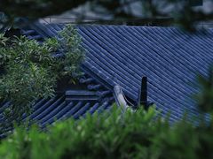 -白石龙音乐公园