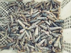 -重振华中蔬菜批发市场(重庆中路店)