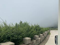 -白草畔自然风景区