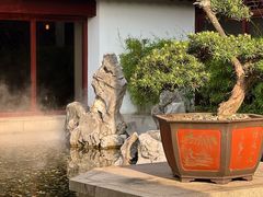 -苏州吴宫泛太平洋酒店