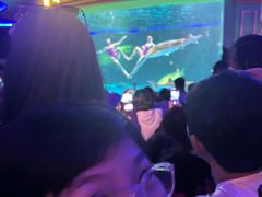 -西双版纳原始森林公园