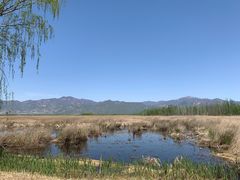 -野鸭湖国家湿地公园