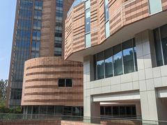 -香港大学