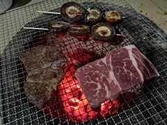 -美的鹭湖森林度假区