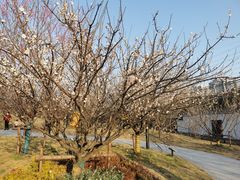 -杭州半山国家森林公园