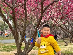 -蜀冈西峰生态公园