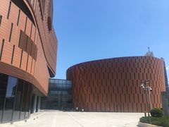 -中国宋庆龄青少年科技文化交流中心