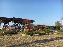 -上海长兴岛郊野公园