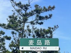 -小麦岛公园