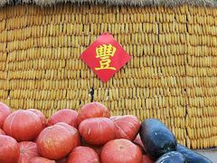 -黑龙江省森林植物园