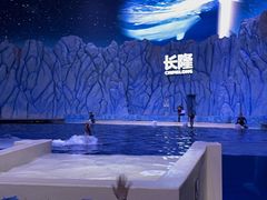 -横琴湾畔餐厅(长隆海洋王国白鲸剧场店)
