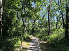 -玉渡山自然风景区