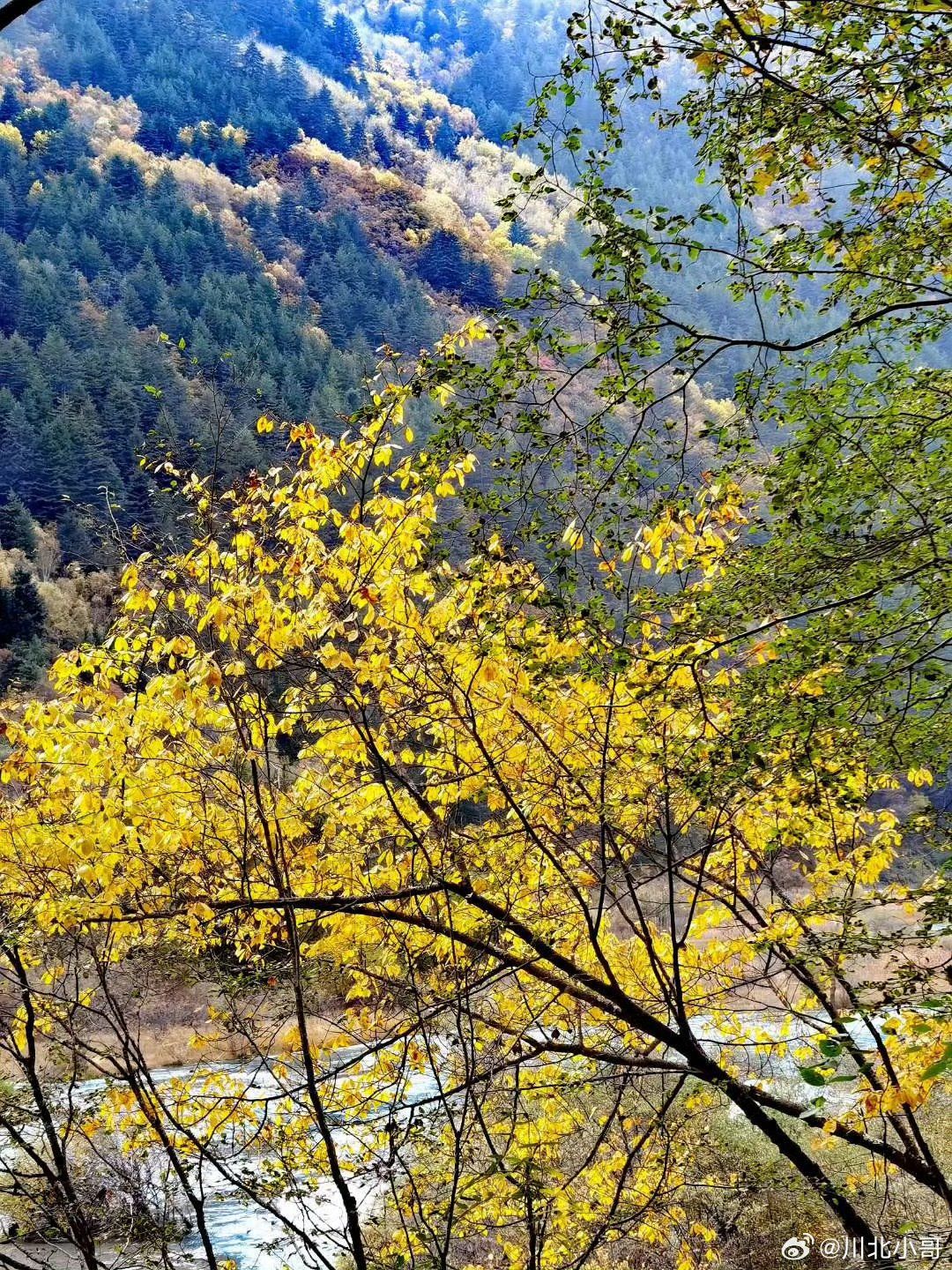 难得好天气在线
