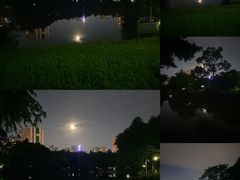 -晓港公园