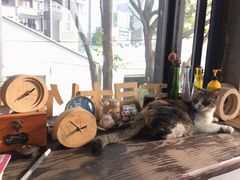 -五月木作·DIY木作文创体验店(北京路店)