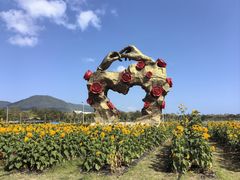 -亚龙湾国际玫瑰谷