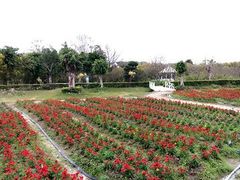-广东花都香草世界旅游度假区