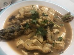 -煲来饱去冷水鱼