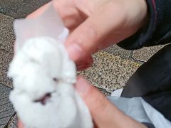 -锦记糕点铺