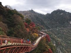 -少华山国家森林公园