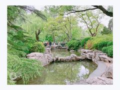 -趵突泉景区