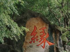 -杭州黄龙洞