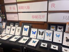 -三联韬奋书店(三里屯店)