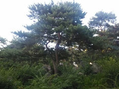 -紫竹院公园冰场