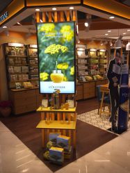 -L'OCCITANE欧舒丹