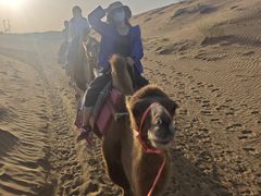 -银肯塔拉沙漠生态旅游景区