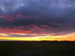 -Steveston Pizza Company (Richmond)