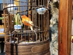 -普洱茶府(博乐广场店)