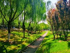 -永定河休闲森林公园