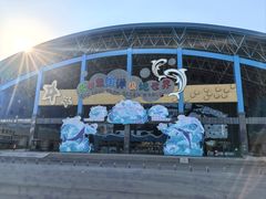 -泉城欧乐堡海洋极地世界