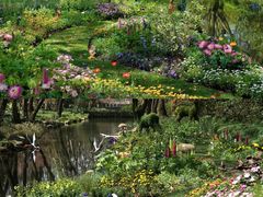 -上海共青森林公园