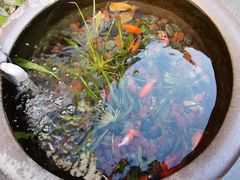 -洛阳麦盛斋糕点店(中州路店)