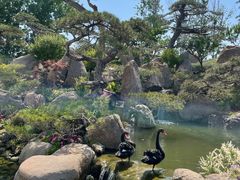 -罗红摄影艺术馆