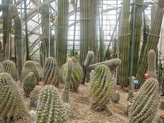 -南山植物园