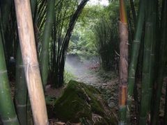 -川西竹海景区