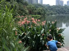 -重庆彩云湖湿地公园