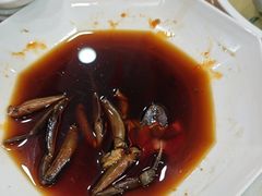 -红灯笼龙凤饭店(宁波老字号店)