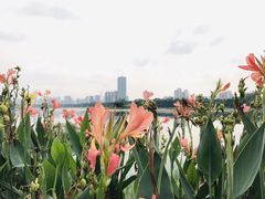 -那考河湿地公园