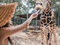 -清迈夜间动物园