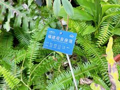 -国家植物园南园