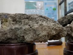 -吾穆勒蓬灰牛肉面·清真(北滨河中路店)