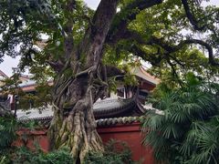 -眉山湿地公园(东坡区)