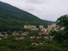 -三亚亚龙湾人间天堂鸟巢度假村